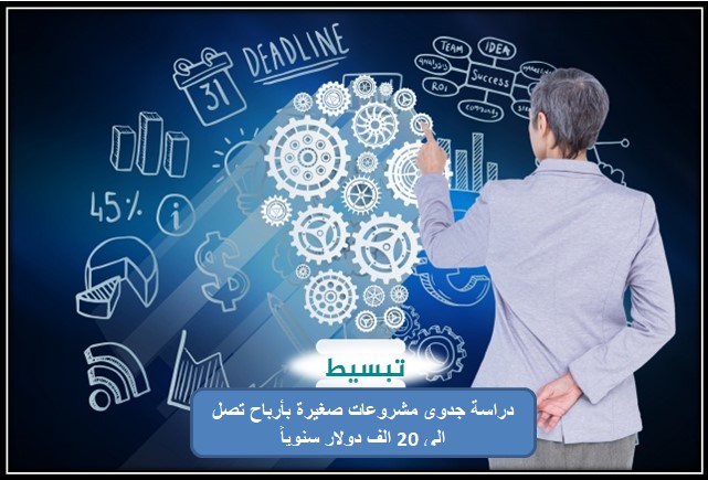 دراسة جدوى مشروعات صغيرة